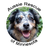 Aussie Rescue of Minnesota Logo