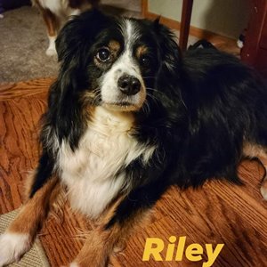 Riley